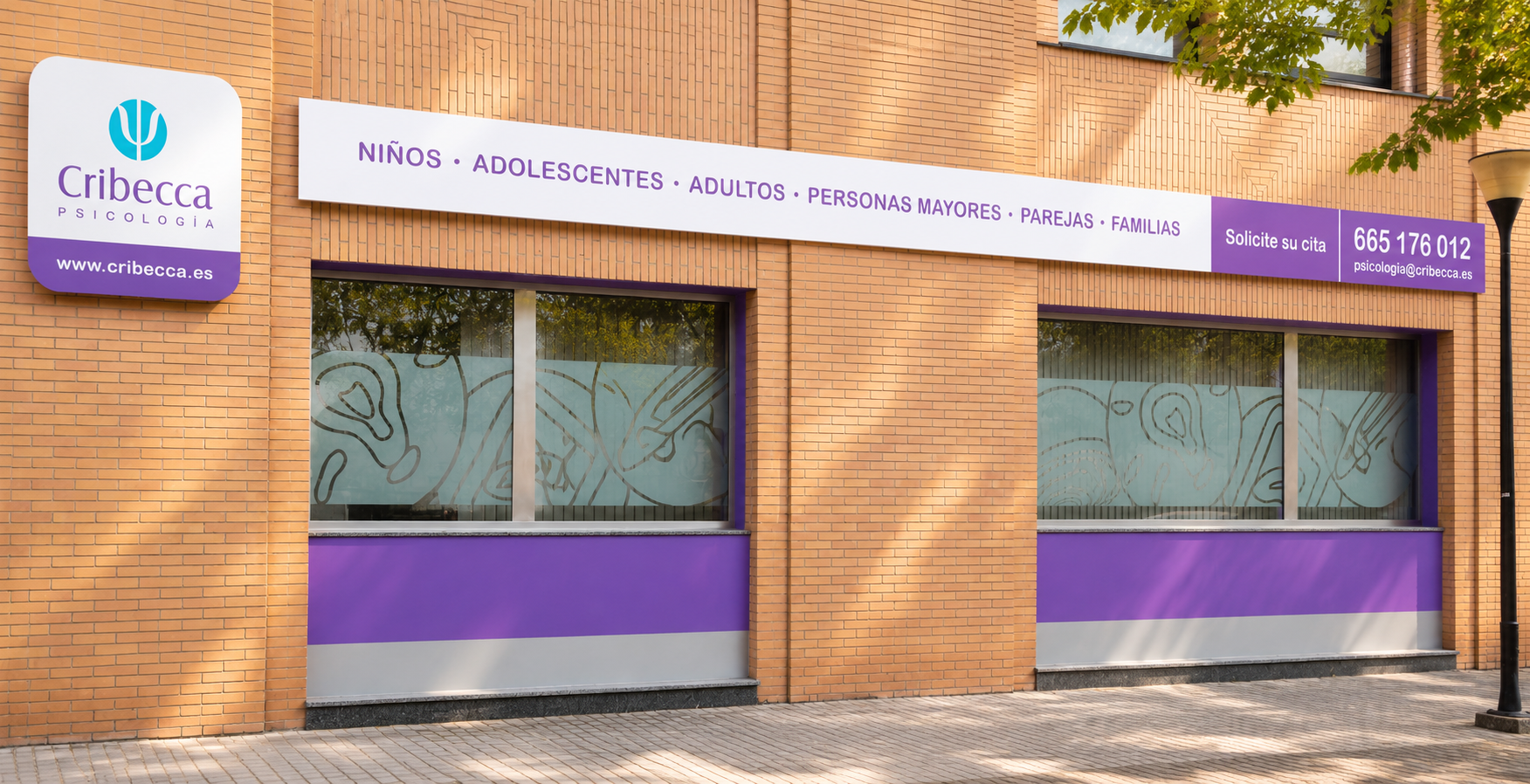 Cribecca Psicología cover image