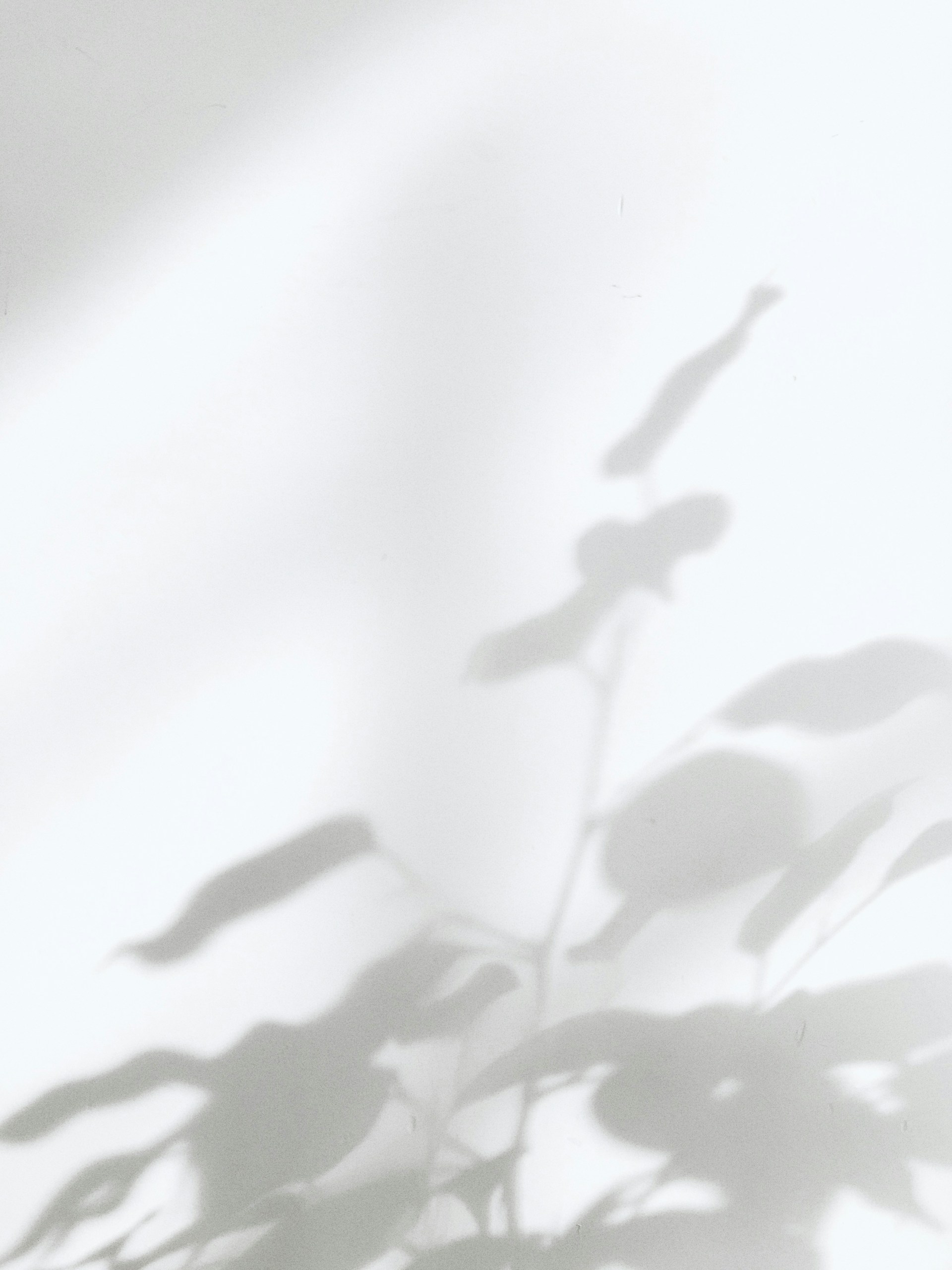 Nacho Izquierdo Cuesta cover image