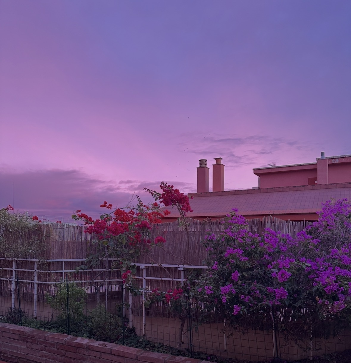 Mertxe Fernández Rodrigo cover image